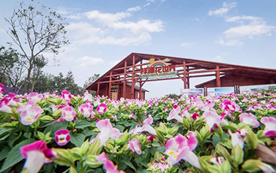 凯时娱乐人生就是博!(中国)官方网站