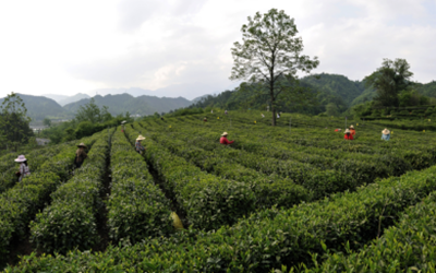 凯时娱乐人生就是博!(中国)官方网站